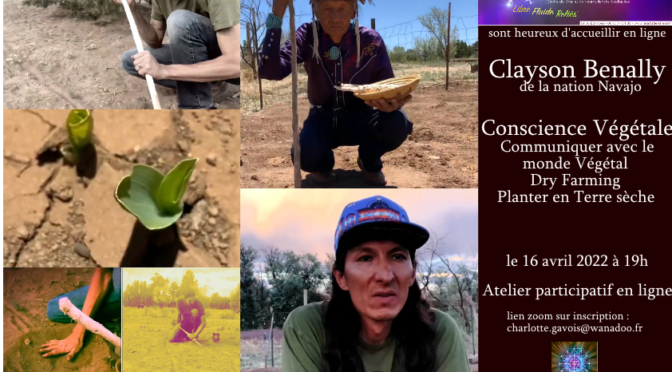 Le lien avec la conscience végétale : l’expérience Navajo avec Clayson