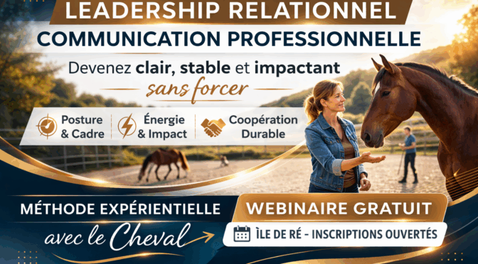 Stage Avril – Ile de Ré – Devenir clair et impactant dans sa communication… sans forcer